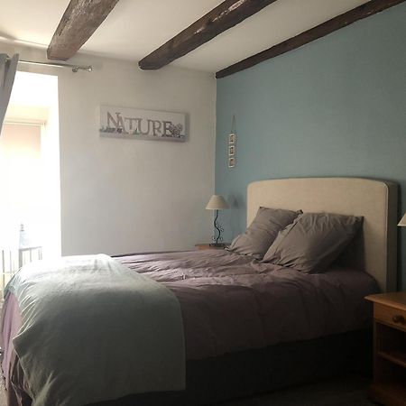 Sous Les Toits Du Zinc - Climatise Appartement Colmar Buitenkant foto