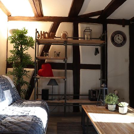 Sous Les Toits Du Zinc - Climatise Appartement Colmar Buitenkant foto