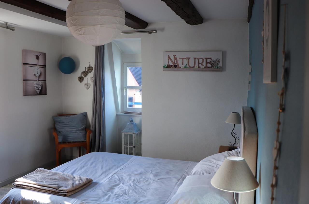 Sous Les Toits Du Zinc - Climatise Appartement Colmar Buitenkant foto