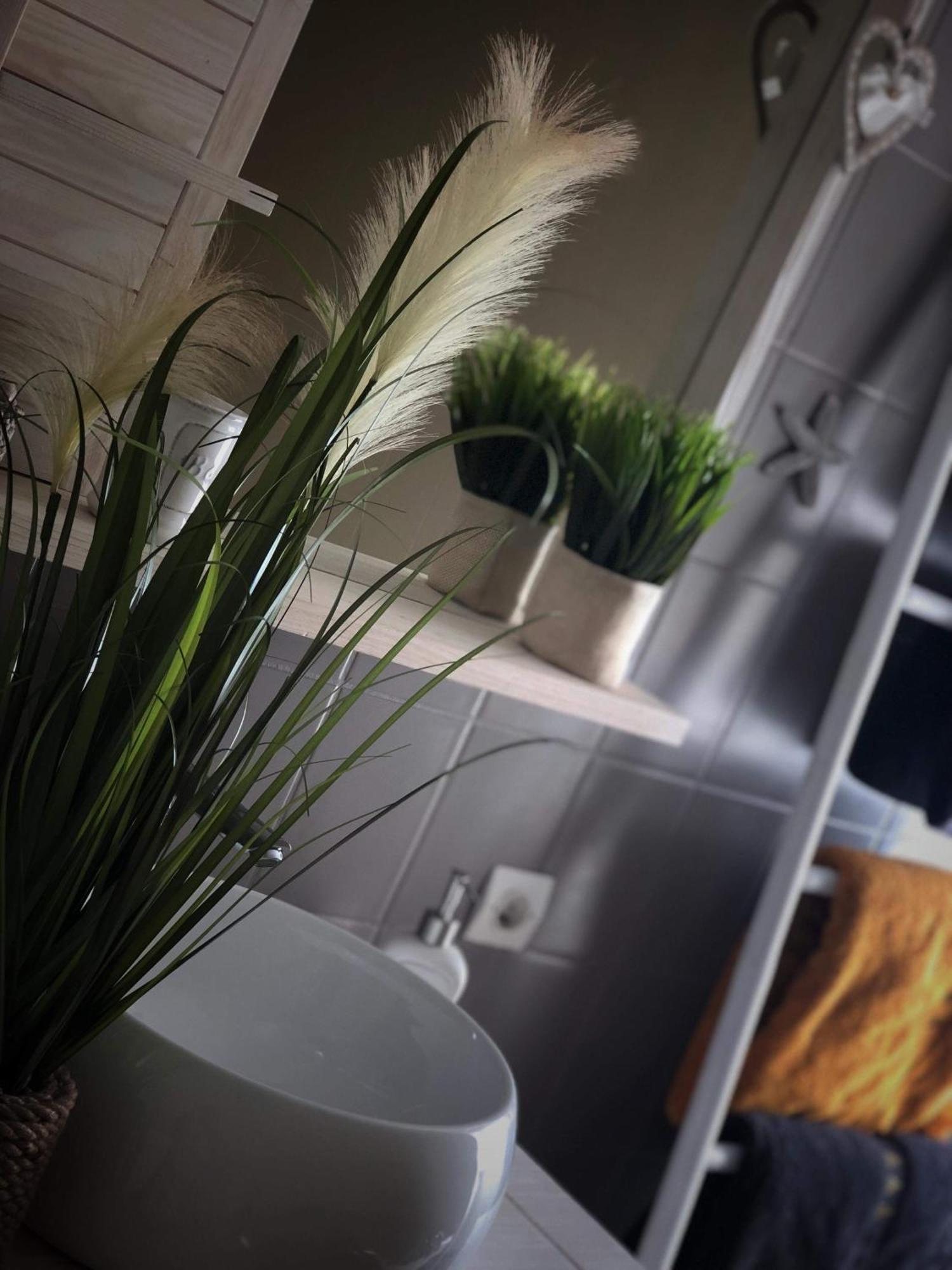 Sous Les Toits Du Zinc - Climatise Appartement Colmar Buitenkant foto