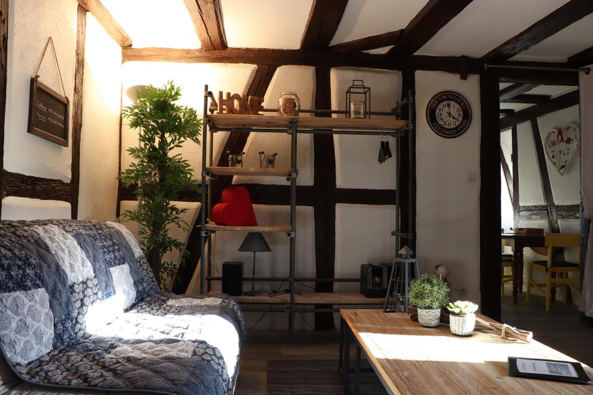Sous Les Toits Du Zinc - Climatise Appartement Colmar Buitenkant foto